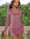 Sequin V-Neck Long Sleeve Mini Dress