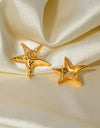 Stainless Steel Star Shape Earrings