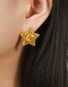 Titanium Steel Star Stud Earrings