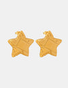 Titanium Steel Star Stud Earrings