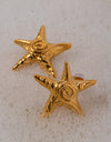 Stainless Steel Star Shape Earrings