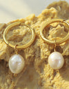 Gold-Plated Titanium Steel Pearl Earrings