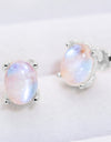 Natural Moonstone 4-Prong Stud Earrings