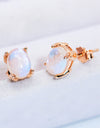 Natural Moonstone 4-Prong Stud Earrings