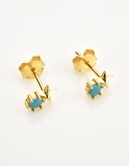 Zircon Star Stud Earrings