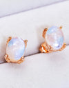 Natural Moonstone 4-Prong Stud Earrings