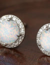 925 Sterling Silver Platinum-Plated Opal Round Stud Earrings