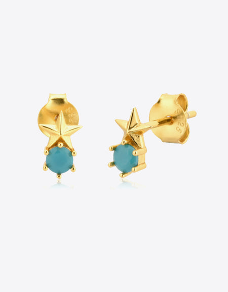 Zircon Star Stud Earrings